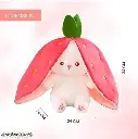 IMG-20250829-WA0005.webp