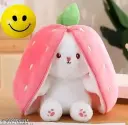 Strawberry 🍓beautiful✨ toy